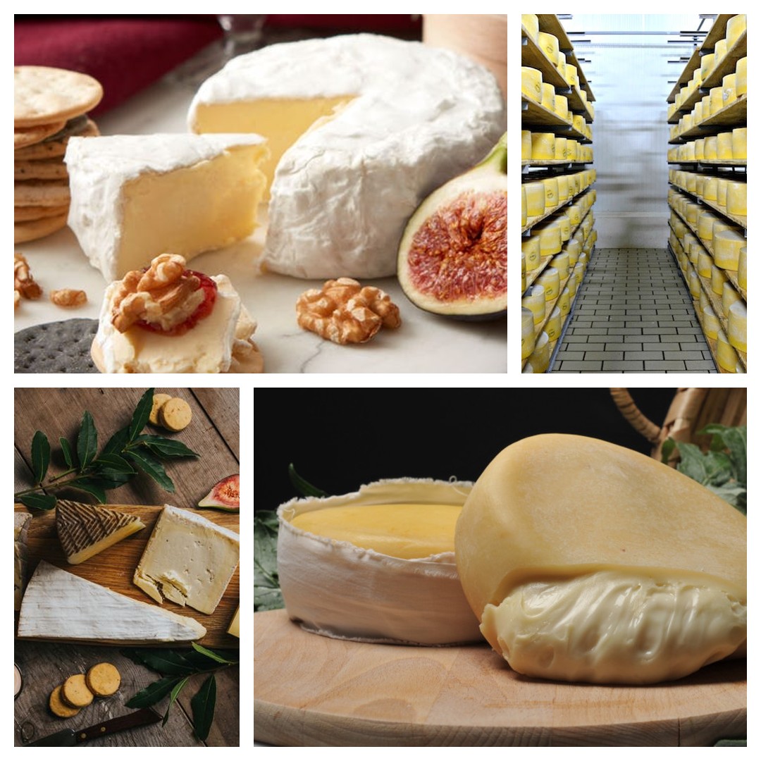 Shopping list - gourmet cheese