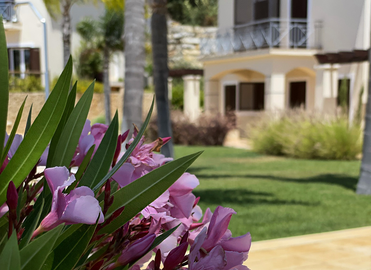 Villa Cascata garden | luxury villa algarve