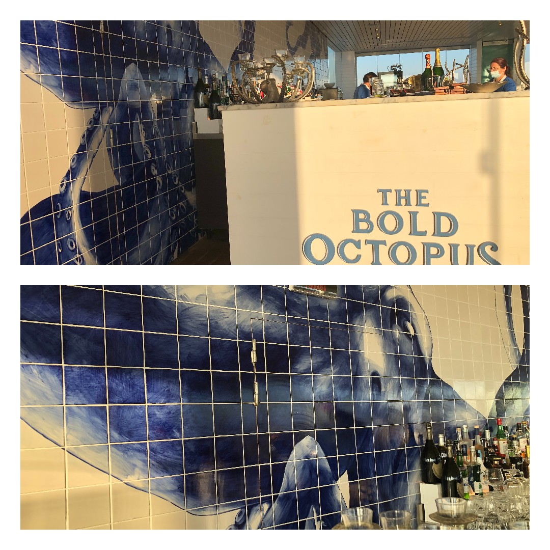 The Bold Octopus Meet and Greet