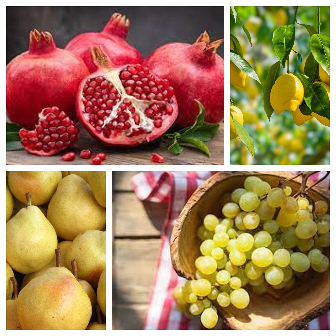 Shopping List seasonal fruit